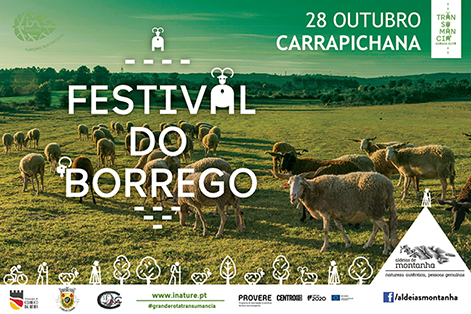 XII Festival do Borrego